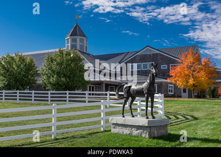 Pineland Farms Equestrian Center, New Gloucester, Maine, USA. Banque D'Images