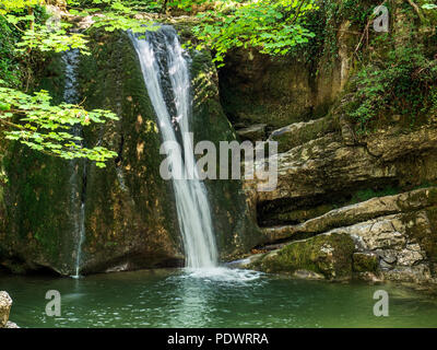 Janets Foss waterfall dans un bois près de Malham Yorkshire Dales England Banque D'Images
