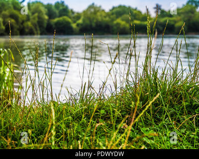 Une vue sur le lac à Mheuu Bridge Country Park dans le Gloucestershire. Banque D'Images