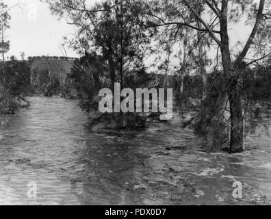 233 1 153255 StateLibQld à crue, 1949 Rannes Banque D'Images