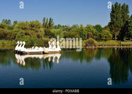 Swan boats sur une station lac de plaisance. Banque D'Images