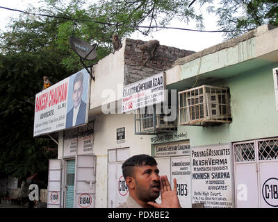 17 avril 2018, l'Inde, New Delhi : le 'Monkey Man', Ravi Kumar, imite les appels de langur de route le macaque escalade derrière lui sur une maison. (Sur les droits de l'animal par rapport aux dpa en Inde : Un conflit devient incontrôlable sur 11.08.2018) Photo : Siddhartha Kumar/dpa Banque D'Images