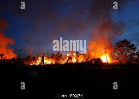 Riau, l'Indonésie, 10 mai 2018. Dans chaque scrutin annuel landfire en saison sèche, Tapung Regency Kampar, dans la province de Riau, l'Indonésie, le 10 août 2018. Credit : Hadly Vavaldi/Alamy Live News Banque D'Images