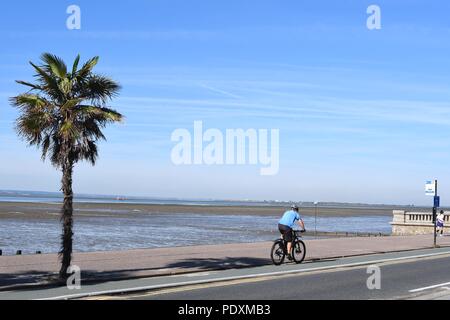 Southend-on-Sea, Essex, Royaume-Uni. 11 août, 2018. Météo France : un démarrage à chaud de la journée à Southend - vue d'un homme à vélo sur le front de mer Crédit : Ben Recteur/Alamy Live News Banque D'Images