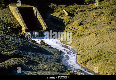 WaterSewage sud sortie, Kent, Angleterre, RU, FR. Banque D'Images