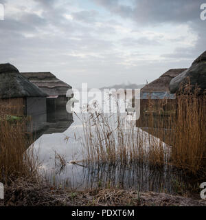 Bateau de chaume maisons sur Hickling Large, Norfolk Banque D'Images