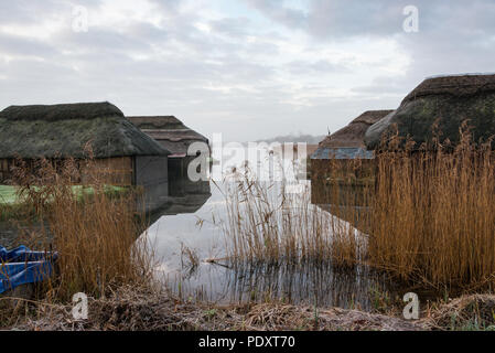 Bateau de chaume maisons sur Hickling Large, Norfolk Banque D'Images