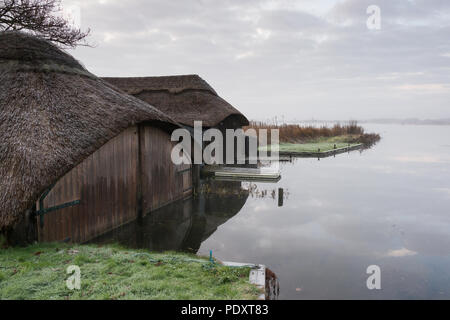 Bateau de chaume maisons sur Hickling Large, Norfolk Banque D'Images