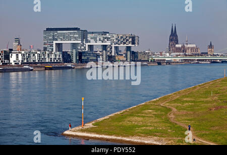 Kranhäuser au Rhin avec la cathédrale de Cologne, Cologne, Rhénanie du Nord-Westphalie, Allemagne, Banque D'Images