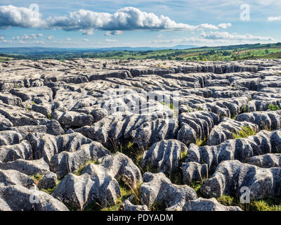 Vue sur lapiez à Malham Cove près de Malham Yorkshire Dales England Banque D'Images