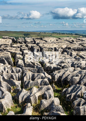 Vue sur lapiez à Malham Cove près de Malham Yorkshire Dales England Banque D'Images