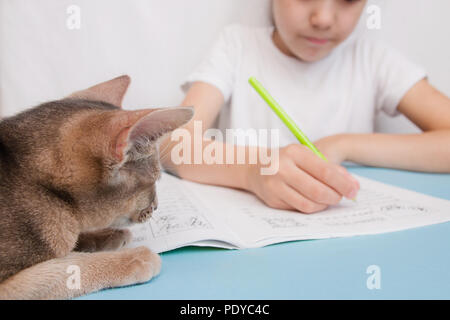 Le chat regarde la jeune fille rend les leçons, animaux préférés Banque D'Images