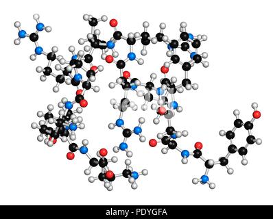La dynorphine un peptide opioïde endogène molécule. Le rendu 3D. Les atomes sont représentés comme des sphères avec le codage couleur classiques : l'hydrogène (blanc), carbone (noir), l'oxygène (rouge), l'azote (bleu). Banque D'Images