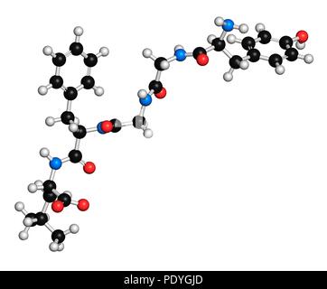 Leu-enképhaline peptide opioïde endogène molécule. Le rendu 3D. Les atomes sont représentés comme des sphères avec le codage couleur classiques : l'hydrogène (blanc), carbone (noir), l'oxygène (rouge), l'azote (bleu). Banque D'Images