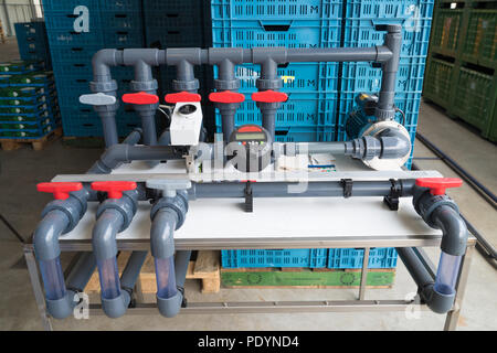 Système d'irrigation automatisé avec débitmètre dans une serre hollandaise Banque D'Images