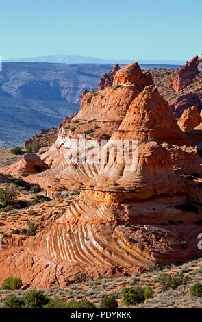 AZ00248-00...ARIZONA - buttes en couches de façon spectaculaire en fin d'après-midi à la lumière du soleil le Coyote Buttes South zone de permis de la Paria Canyon -Vermilio Banque D'Images