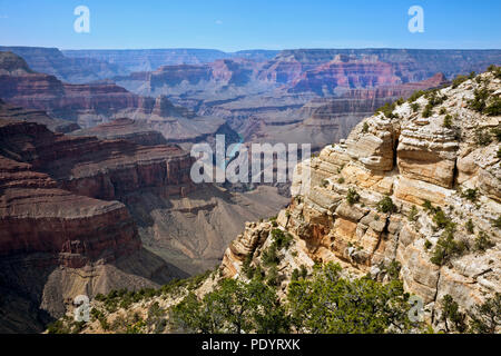 AZ00264-00...ARIZONA - Vue sur le fleuve Colorado à partir de ermites reste dans le Parc National du Grand Canyon. Banque D'Images