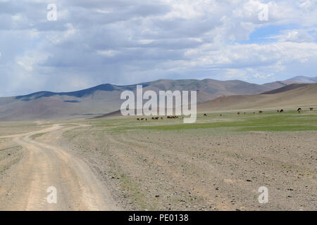 Des chameaux dans la distance sur la steppe de Mongolie Banque D'Images