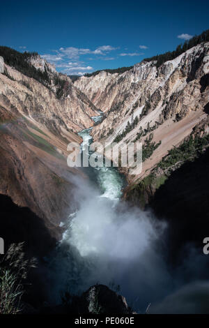 C'est la photo de Lower Falls d'Yellowsonte à Yellowstone National Park, Wyoming. Banque D'Images