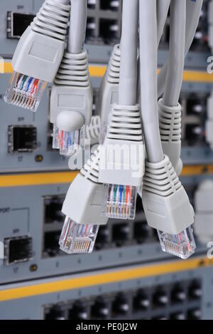 Câble réseau RJ45. Banque D'Images