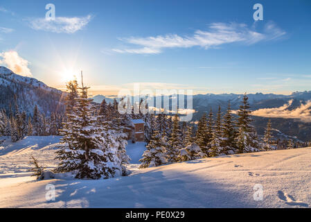 Arbres couverts de neige de la vallée de Whistler Creekside avec en arrière-plan. Banque D'Images