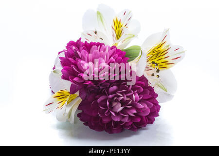 Magnifique bouquet de chrysanthèmes et lysianthus sur fond blanc Banque D'Images