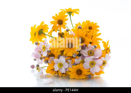 Bouquet de marguerites jaunes gros isolated on white Banque D'Images