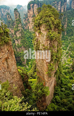 Le célèbre pilier de Avatar Montagne flottante dans Zhangjiajie National Forest Park, dans la province de Hunan en Chine Banque D'Images