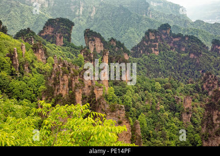 Dans les formations rocheuses des montagnes Tianzi, partie de la Parc forestier national de Zhangjiajie Hunan, Chine Banque D'Images