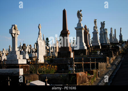 Cimetière Waverley : Impressionen, Sydney, Australie. Banque D'Images