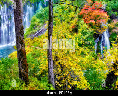 Burney Falls avec la couleur de l'automne. McArthur-Burney Falls Memorial State Park. Californie Banque D'Images