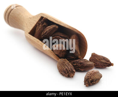 Cardamome noire dans un scoop en bois sur fond blanc Banque D'Images