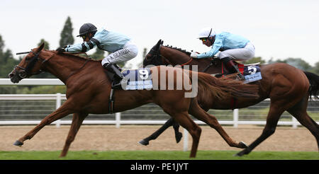 Graberg Cleonte monté par Per-Anders conduire étoile sur la mer et Gerald Mosse accueil pour gagner le Dubai Duty Free Shergar Cup restants pendant le Dubai Duty Free Shergar Cup journée à l''hippodrome d''Ascot. Banque D'Images