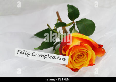 Feliz Cumpleanos (Joyeux Anniversaire en espagnol) avec carte orange rose avec des paillettes Banque D'Images