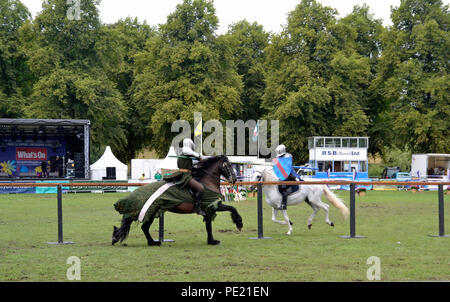 Shrewsbury Flower Show 2018. Medieval jousting l'écran. Le Shropshire en Angleterre. UK Crédit : Susie Kearley/Alamy Live News Banque D'Images