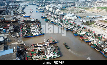 Zhejiang, Chine. 12 août 2018. (180812) -- WENZHOU, le 12 août 2018 (Xinhua) -- Bateaux sont hébergé dans un refuge à l'abri de Yagi typhoon dans un port dans la ville de Cangnan de Wenzhou, province de Zhejiang, Chine orientale, le 12 août 2018. L'observatoire national de dimanche a publié une alerte bleue pour Yagi typhon qui a renforcé l'avance de ses côtes de la région côtière de l'Est. Source : Xinhua/Alamy Live News Banque D'Images