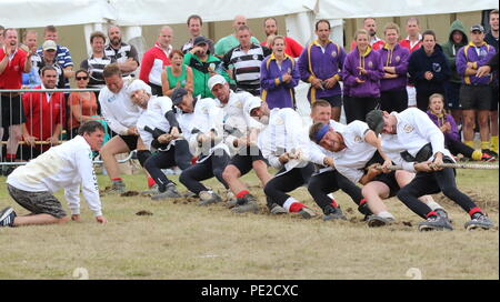 Cambridgeshire, Royaume-Uni. 12 août 2018. Stoke on Trent club Norton sont porteur jusqu'au 600kg au Royaume-Uni du remorqueur de la guerre à Wyboston Lakes, St Neots, Cambridgeshire, UK le dimanche 12 août 2018 Photo par Keith Mayhew Crédit : KEITH MAYHEW/Alamy Live News Banque D'Images