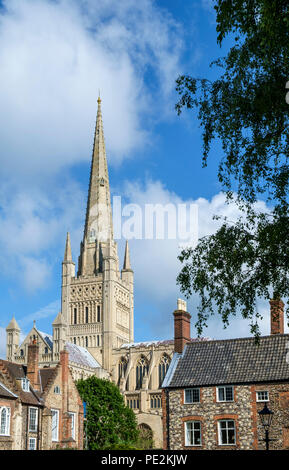 Cathédrale de Norwich parmi les maisons voisines. Banque D'Images