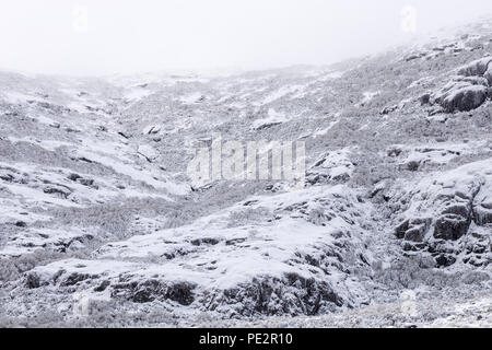 Les roches couvertes de neige et les arbustes le long de la serras le long des sommets des montagnes près de Torre, Séra da Estrela, Portugal. Banque D'Images