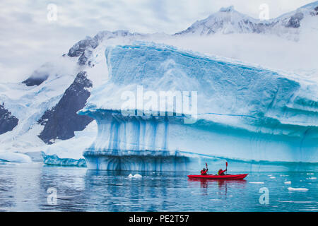 Kayak d'hiver dans l'Antarctique, extrême, sport aventure, les gens sur la pagaie kayak près de iceberg Banque D'Images