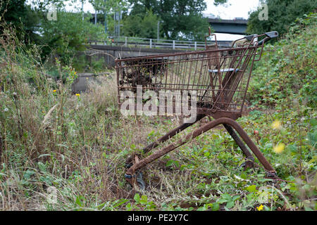 Chariot de supermarché sous-évaluées, rivière, près de Brent Brent réservoir, Brent, London, United Kingdom Banque D'Images