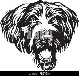 Pointeur allemand chiot de race face isolé Illustration de Vecteur