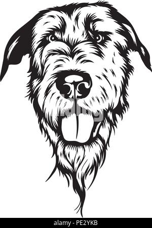 Irish Wolfhound race de chien chiot face isolé Illustration de Vecteur