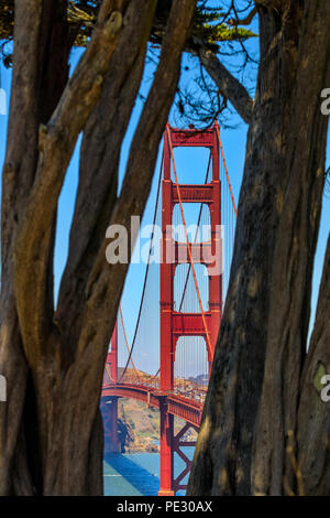 Golden Gate Bridge vue à travers les arbres dans Presidio sur une claire journée d'été à San Francisco, USA Banque D'Images