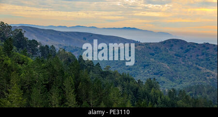 Brouillard et les nuages en roulant autour de coucher du soleil à Mount Tamalpais au nord de San Francisco, Californie Banque D'Images