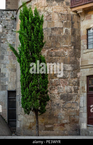 Les rues étroites du quartier gothique de Barcelone le matin - 1 Banque D'Images