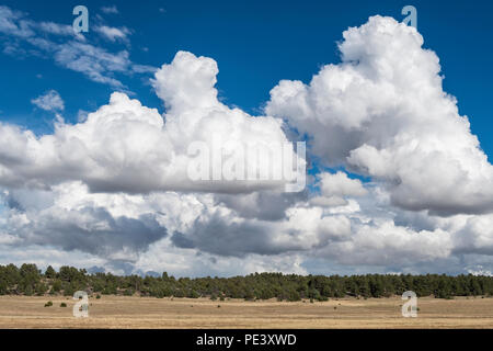 Les Cumulonimbus. Mora Comté, NM, États-Unis d'Amérique, par Dominique Braud/Dembinsky Assoc Photo Banque D'Images