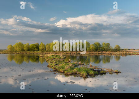 Des nuages de pluie au coucher du soleil sur Crex Meadows Wildlife Management Area, mai, WI, États-Unis d'Amérique, par Dominique Braud/Dembinsky Assoc Photo Banque D'Images