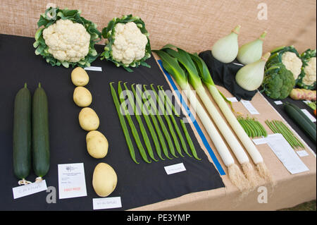 Légumes primés exposée au parc Tatton RHS Flower show Cheshire England UK Banque D'Images