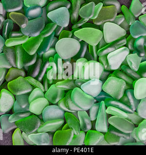 Vert de la hanche des morceaux de verre polis par la mer libre de contexte Banque D'Images